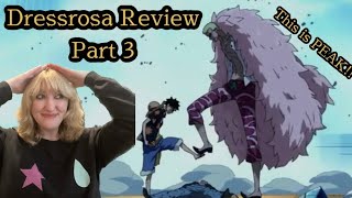 Dressrosa in MINUTES Part 3  Sagas In Minutes  Grand Line Review [upl. by Aina843]