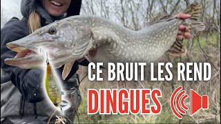 Un leurre BRUYANT pour pêcher le BROCHET en ÉTANG  🔊 [upl. by Eynahpets404]