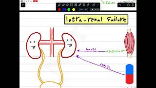 Renal failure  شرح بالعربي [upl. by Anina]