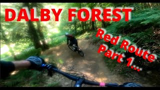 Dalby Forest  Red Route Part 1 [upl. by Ecnarrat]