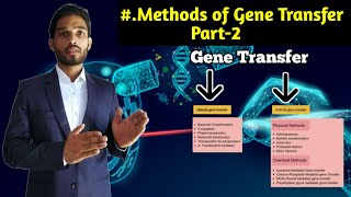 Methods of gene transfer Part2  Liposome mediated gene Transfer  BSc 2nd year Zoology 4rth Sem [upl. by Alue]