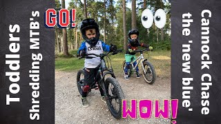 Riding Cannock Chase MTB TODDLER ride out on the NEW BLUE route [upl. by Ofloda692]