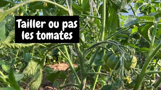 Tailler ou pas les tomates 🍅 [upl. by Edelson232]