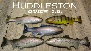 Quick MOD Identify your Huddleston trout ROF [upl. by Roxana]