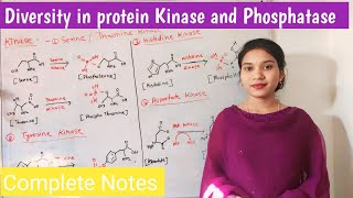 diversity in protein kinase and phosphatase  types and function of kinase and phosphatase  Hindi [upl. by Nodyl]