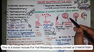 Sensory Receptors  Neurophysiology  NEUROLOGY  Bangla [upl. by Sirc]