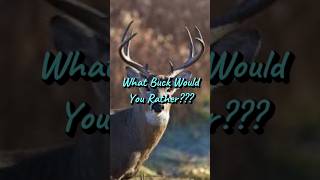 WHAT BUCK WOULD YOU RSTHER hunting deer deerhunting shorts [upl. by Merras877]