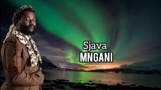 Sjava  Mngani  lyrics [upl. by Aramit]