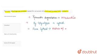 Pyruvate dehydrogenase complex needed for conversion of pyruvic acid to acetyl CoA is located in [upl. by Curley]