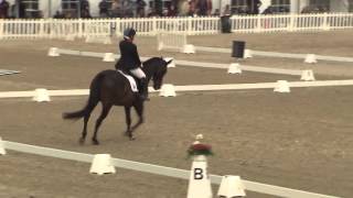 Ecco FEI European Championships 2013 Herning  ParaDressage Day 2 Highlights [upl. by Zola]