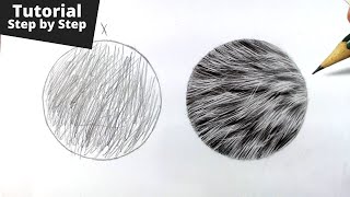 How to Draw Realistic Fur for Beginners [upl. by Annaiviv]