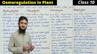 Osmoregulation in plants  Osmotic adjustment in plants hydrophytes xerophytes mesophytesClass 10 [upl. by Taddeo]