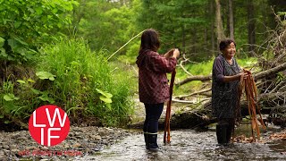 Making Cloth from Tree Bark with Ainu in Japan [upl. by Sapphire]