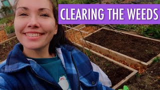 🌼 Getting Rid of Yet More Weeds 🌼  Small Overview  Allotment Vlog Ep9 [upl. by Aiuqet]