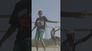 Diamond Platnumz Ft Fally Ipupa  Inama  Afrobeat Dance Video [upl. by Nylleoj]