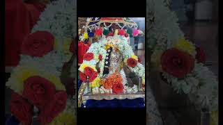 Dhanurmasam Pooja  Goda gokulam Mamidalapadu Kurnool 20232024 [upl. by Easlehc]