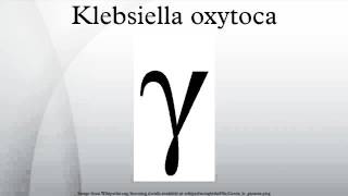 Klebsiella oxytoca [upl. by Beera]