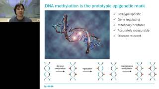 DNA methylation analysis by multiplexed reduced representation bisulfite sequencing RRBS [upl. by Alleynad]