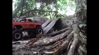 Part1 11 Trucks crawling  RC Trail Adventures at Chestnut Ave  SGCrawlers Mudding [upl. by Savill596]