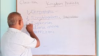 KingdomProtistapart1Class11th biologyJM Bio ClassesNCERT explanation Lecture 43 [upl. by Onilecram185]