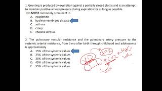 Respiratory Cases and Revision Part 1 102024 [upl. by Nipha]