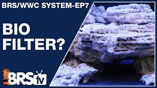 Ep7 Reef tank biofilter for a stable long term reef aquarium  The BRSWWC System [upl. by Quartis]