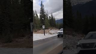 Banff shorts lake alberta canada travel travelvlog banff tour snow snowfall mountains yt [upl. by Mccallion]