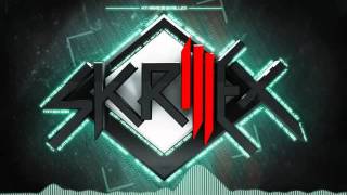 Skrillex Syndicate [upl. by Anieral30]