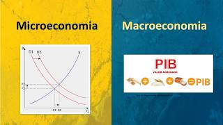 Aprenda as diferenças entre a Macroeconomia e a Microeconomia [upl. by Odrautse]