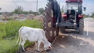 I have been a farmer for 55 years and I have never seen such agricultural machinery Amazing [upl. by Acirtal]