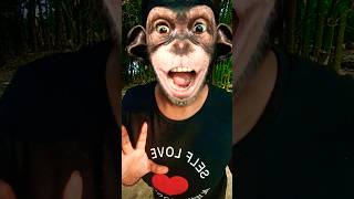 ওরে বাবা রে monkyi 🐒🐒 funny comedyvideos entertainment youtubeshorts viralvideo [upl. by Vitus857]