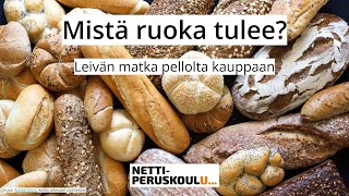 ayl1 Mistä ruoka tulee perusopetus [upl. by Acinonrev]