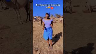 Mali mousso danse culture Malienne [upl. by Ahsinik]