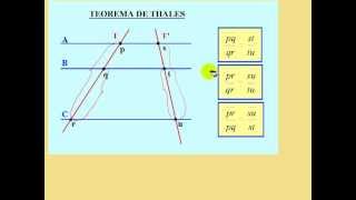 Teorema de Thales teoría y ejercicio resuelto [upl. by Arlyne]