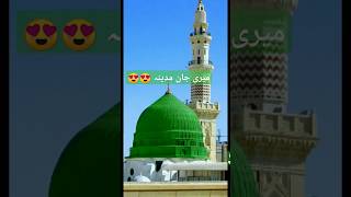 Dar e Nabi Par  Ghulam Mustafa Qadri  shorts naat [upl. by Tnaryb]