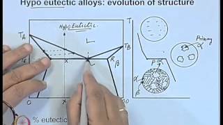 Solidification of Pure Metals and Alloys Recovery Crystallization amp Grain Growth in Hindi [upl. by Mall301]