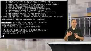 CCIE RampS Lab Training  IGMPv1 IGMPv2 and IGMPv3 [upl. by Esaertal385]