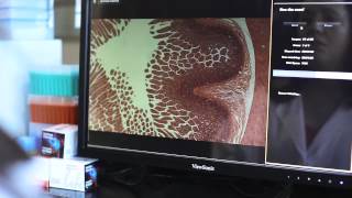 Automated fluorescence microscope demo video – EVOS FL Auto [upl. by Ahsatniuq338]