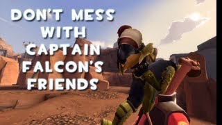 Dont mess with Captain Falcons friends [upl. by Leilamag]