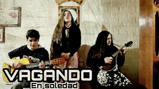 Vagando en Soledad  guitarra y mandolina cover [upl. by Bathsheeb723]