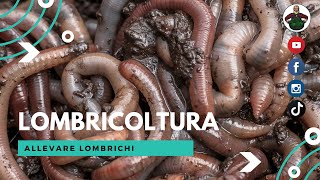 Come Allevare Lombrichi  Lombricoltura  Vermicompost  Vermicomposta  Lombricompostiera [upl. by Victoria]