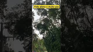 Vida plena e muita paz pra você e sua família paz plenitude saúde [upl. by Amelus]