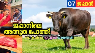 EP07  ജപ്പാനിലെ ലക്ഷങ്ങൾ വിലയുള്ള ബീഫ് 😳 Most expensive meat in the world  Kobe Beef [upl. by Prochora28]