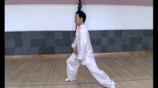 Taiji Basic Practice Drills part 3 of 3 Second 4 of 8 energies drills 太極 基本 勁路練法 第三節 採挒肘靠訓練 [upl. by Devaney294]