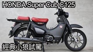 【摩托車試駕30】HONDA Super Cub C125 經典小狼試駕  小小丹尼 復刻本田經典 從國民車走到精品 穿上西裝恣意騎乘吧Testride [upl. by Gibbs]