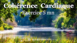 coherence cardiaque exercice 5 mn [upl. by Leeann360]