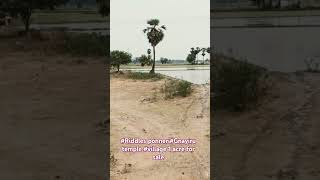 Riddles ponneri Gnayiru village 1 acre land for sale9698261167 [upl. by Odnomar284]