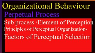 Perpetual Process Sub process Element  Principles of Perceptual Organization Factors [upl. by Ahtera484]