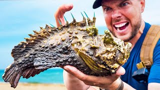 STUNG by a Stonefish Most Painful Sting on Earth [upl. by Raual]