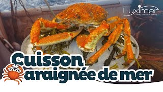 COMMENT CUIRE UNE ARAIGNÉE DE MER   Tuto facile by Luximer [upl. by Aydiv]